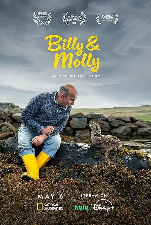 Billy & Molly: An Otter Love Story film posteri